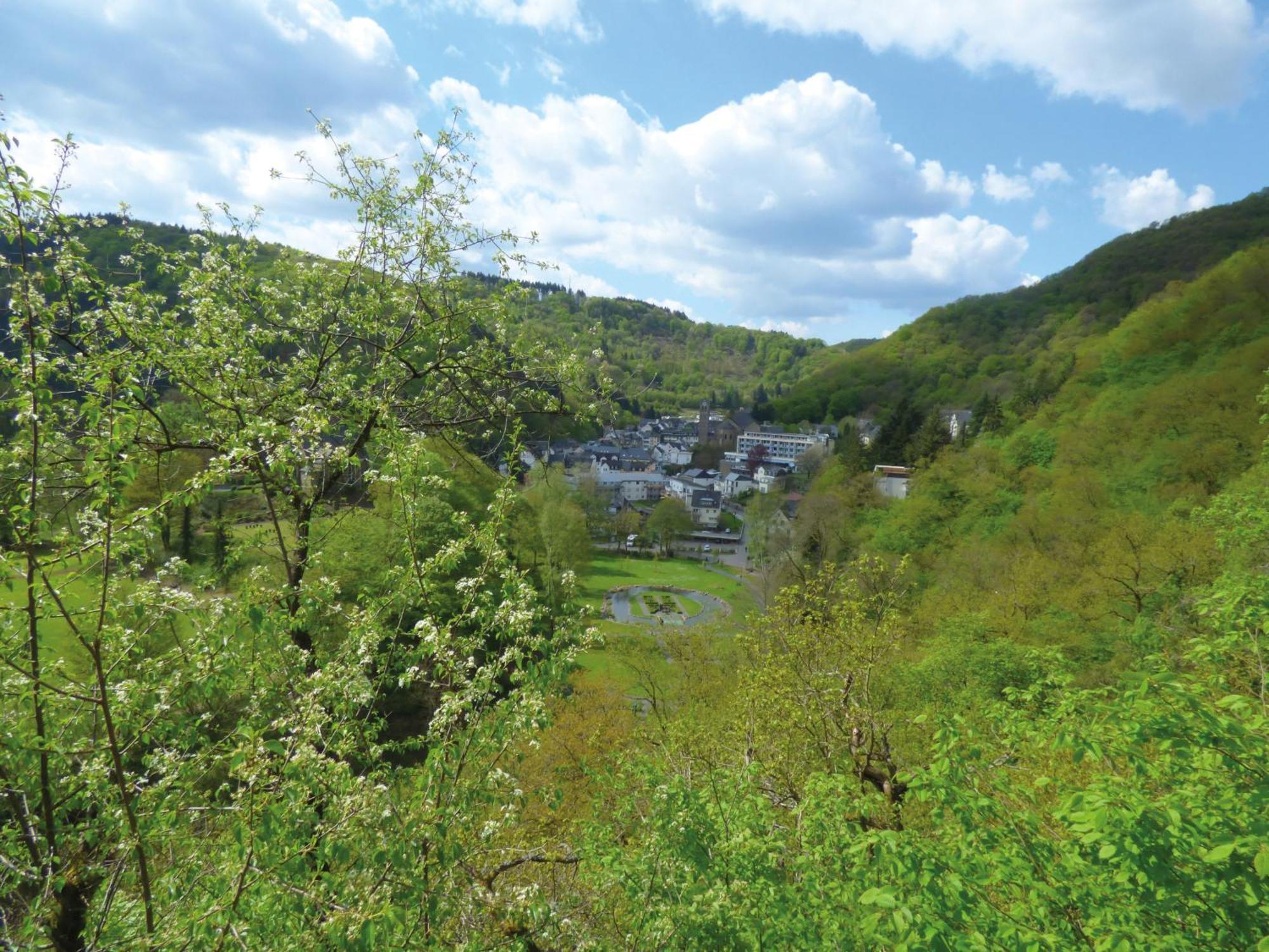 Apartamento Landhaus Am Sonnenberg Bad Bertrich Exterior foto